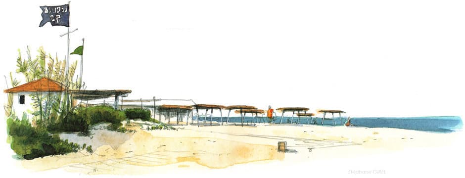 La plage du Club 55 en aquarelle, l'identité visuelle de la maison